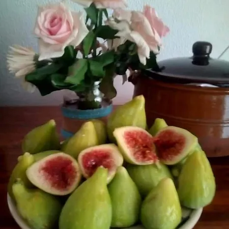 Ξενοδοχείο Al Capretto D'oro 2*