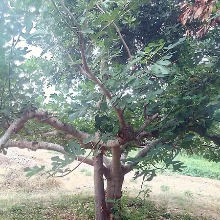 Al Capretto D'oro Ξενοδοχείο 2*