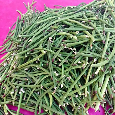 Ξενοδοχείο Al Capretto D'oro Leporano