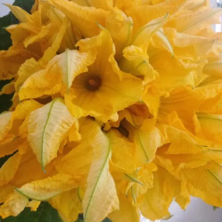 Al Capretto D'oro Leporano