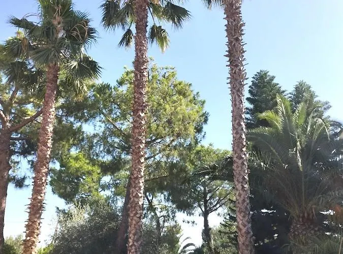 Al Capretto D'oro
