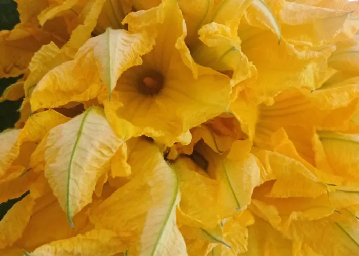 Al Capretto D'oro Leporano